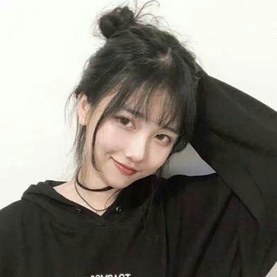 掌上动物园手机版下载
